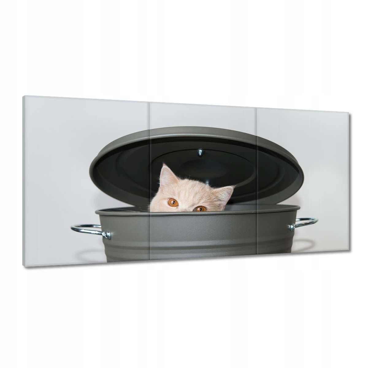 Obrazy 180x90 Mačka Mačky