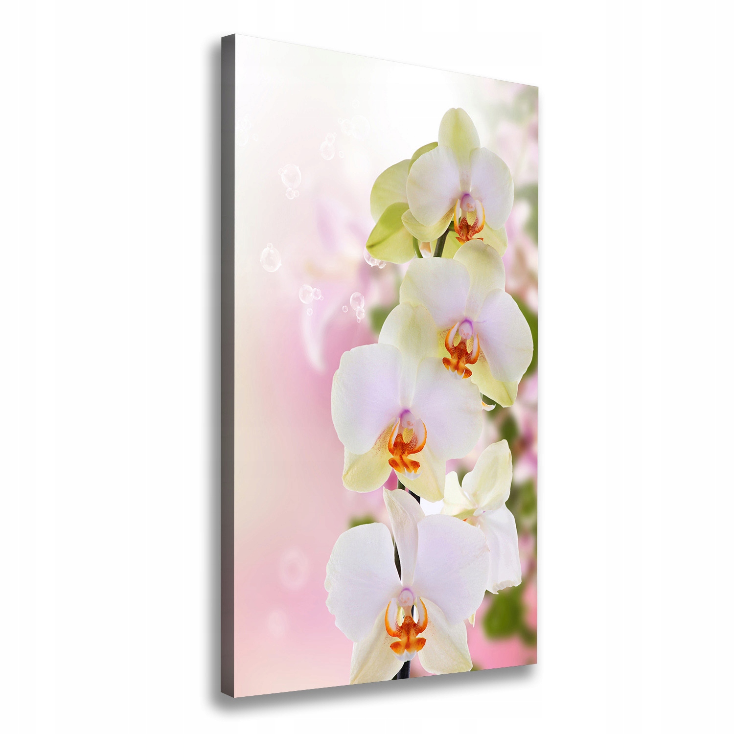 

Foto obraz na płótnie Biała orchidea 50x100 cm