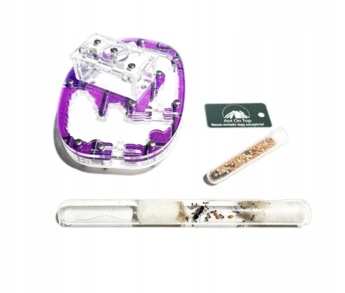 Levně Sada Centre pro chov mravenců z formikária Vzdělávací sada