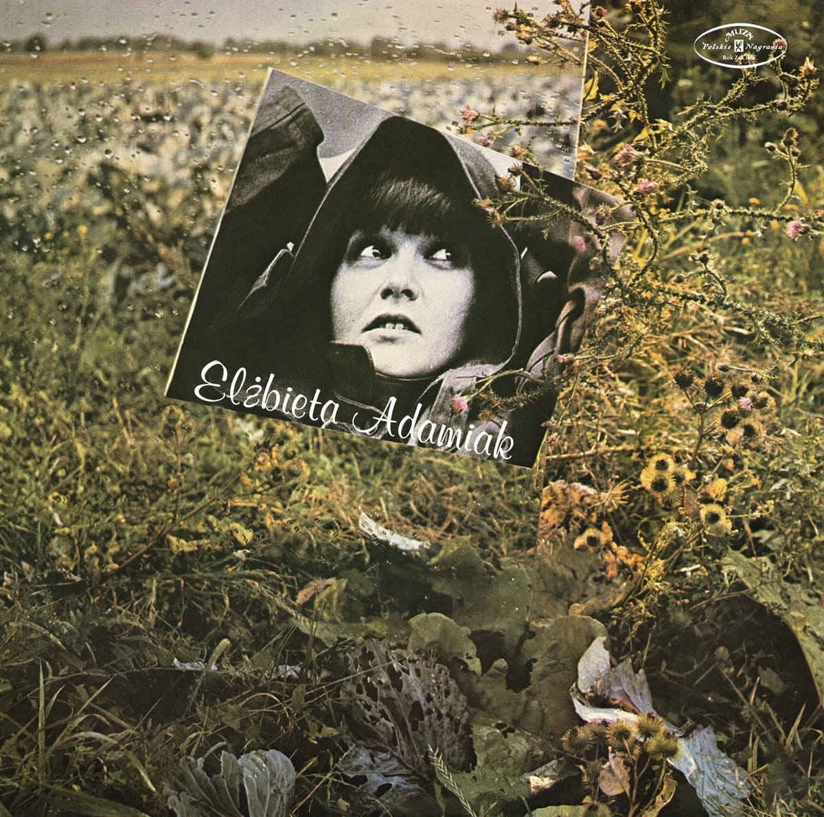 Adamiak, Elzbieta Elżbieta Adamiak (CD)