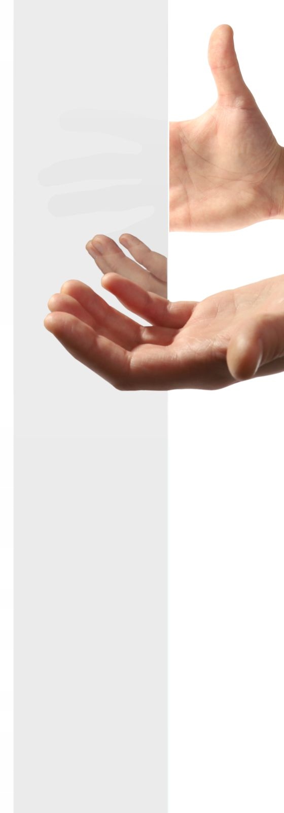 Drzwi uchylne do wnęki Eos DWJ 100 P szkło mirror Linia Eos DWJ I