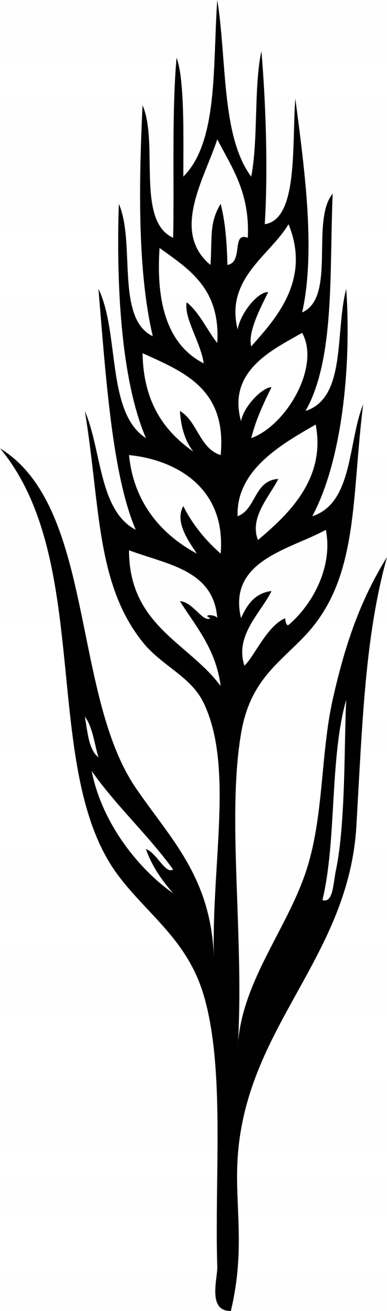 

Naklejka na samochód Kłos Zboże 15 X 4,4 CM