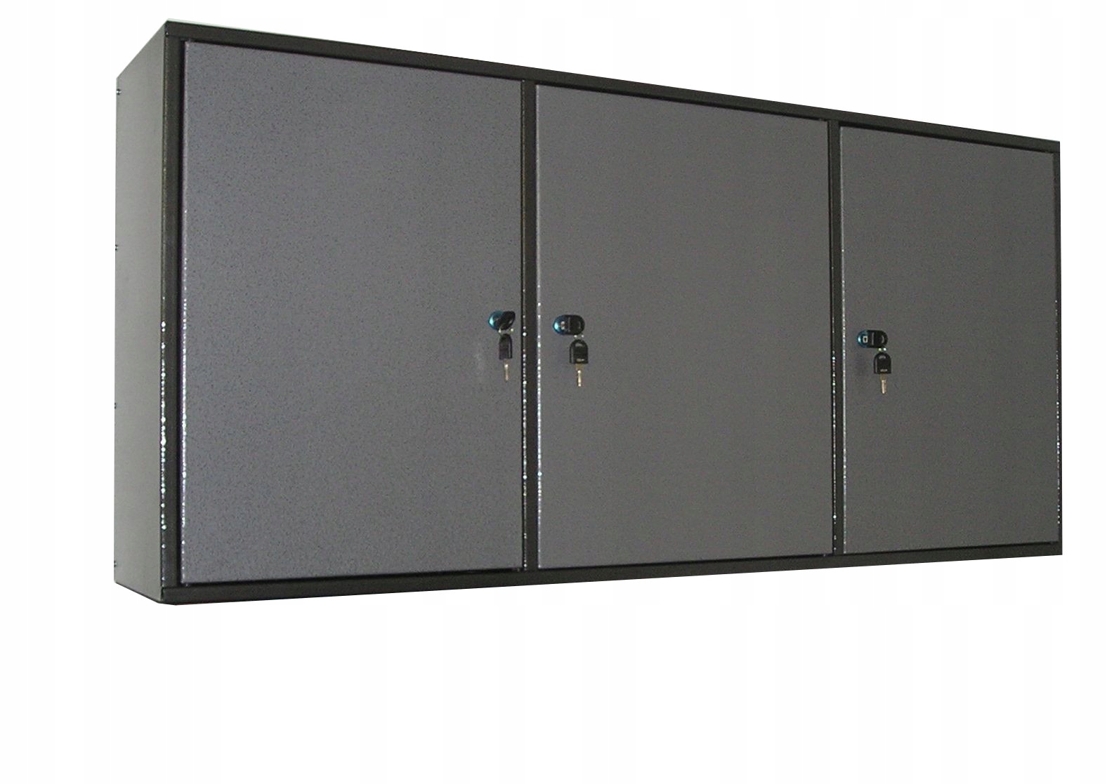 Інструментальна шафа WS2D3