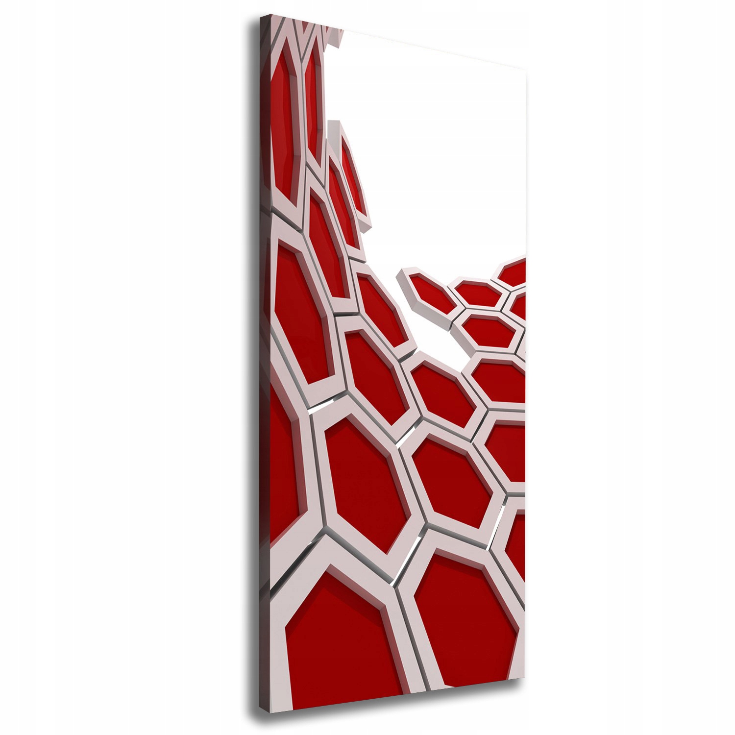 

Foto obraz na płótnie Abstrakcja 3D 50x125 cm