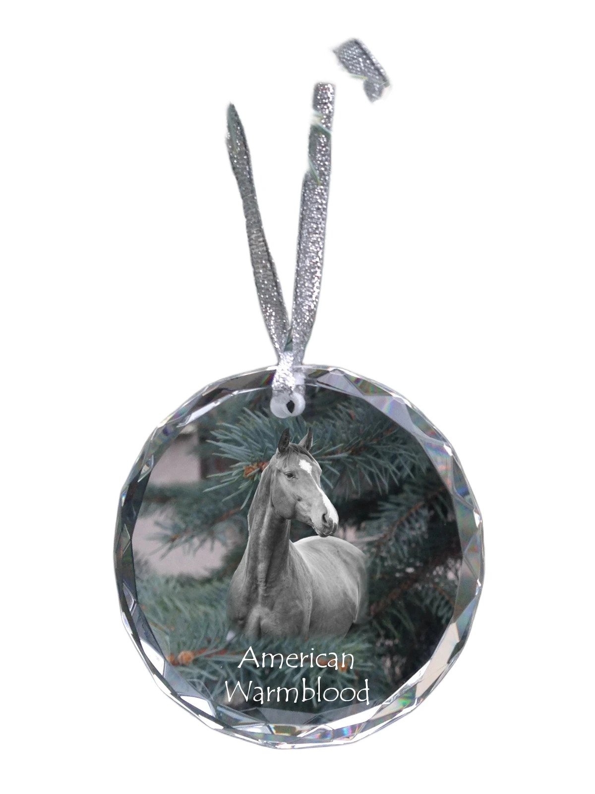 Kůň Warmblood americký personalizovaná vánoční koule s fotografií na vánoční stromeček