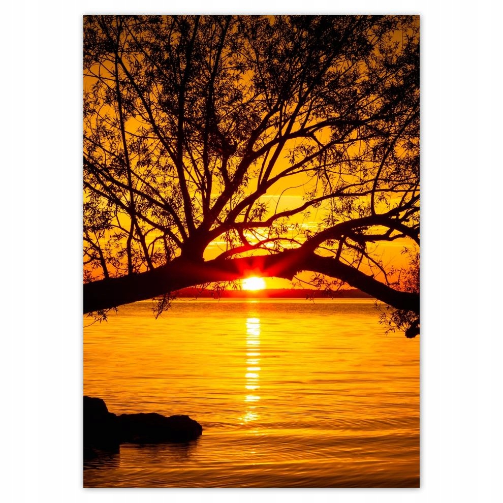 

Naklejki 50x70 Plaża Drzewo Morze