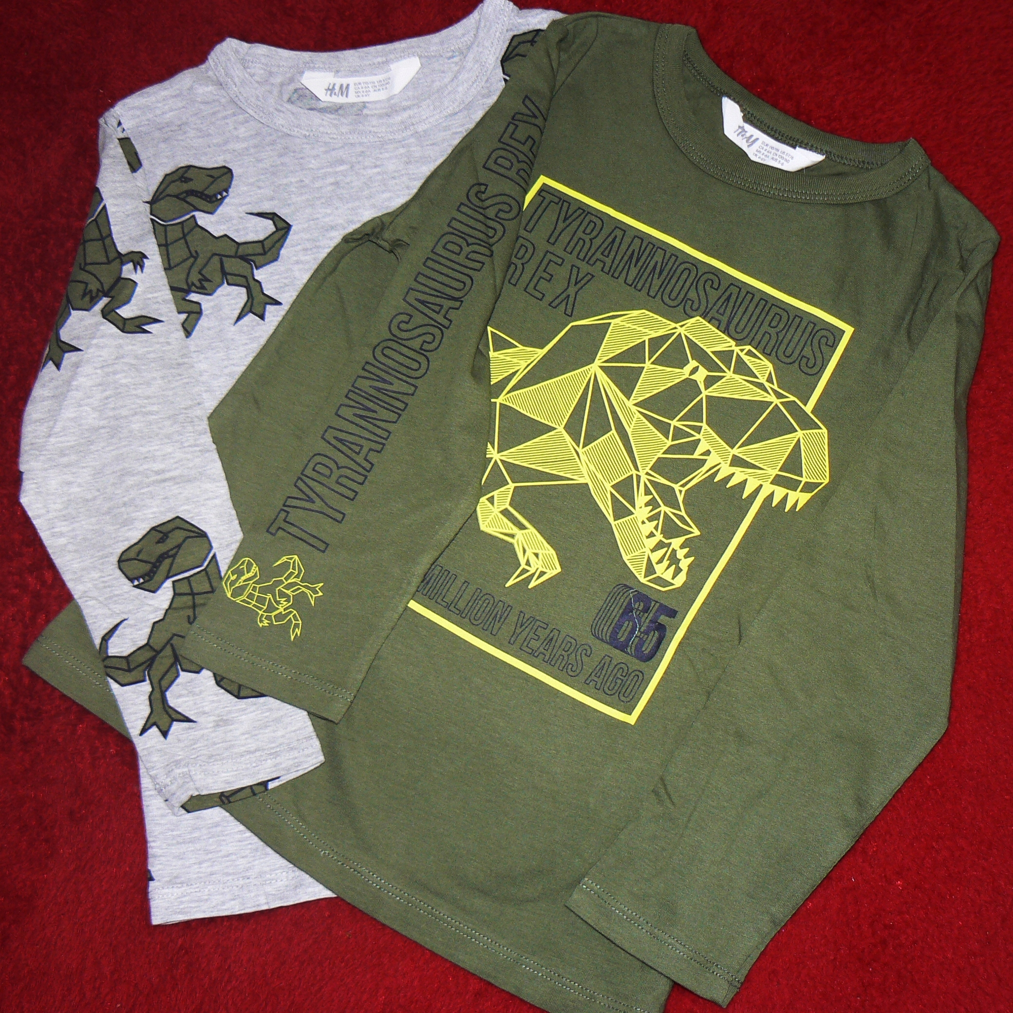 H&M bluzeczki_dinozaury r. 110/116_2 pack