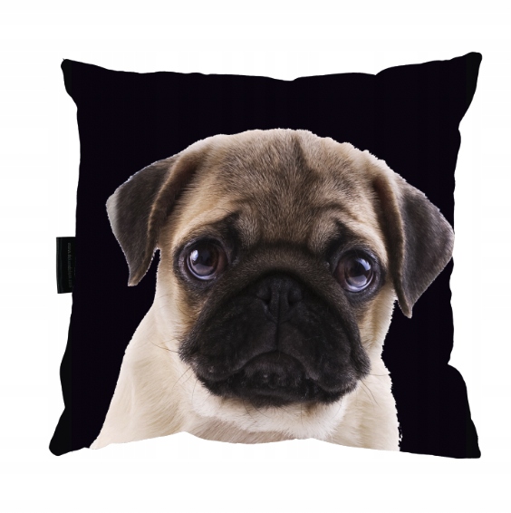 

Poduszka Psem Mopsem Mops 40x40 do spania