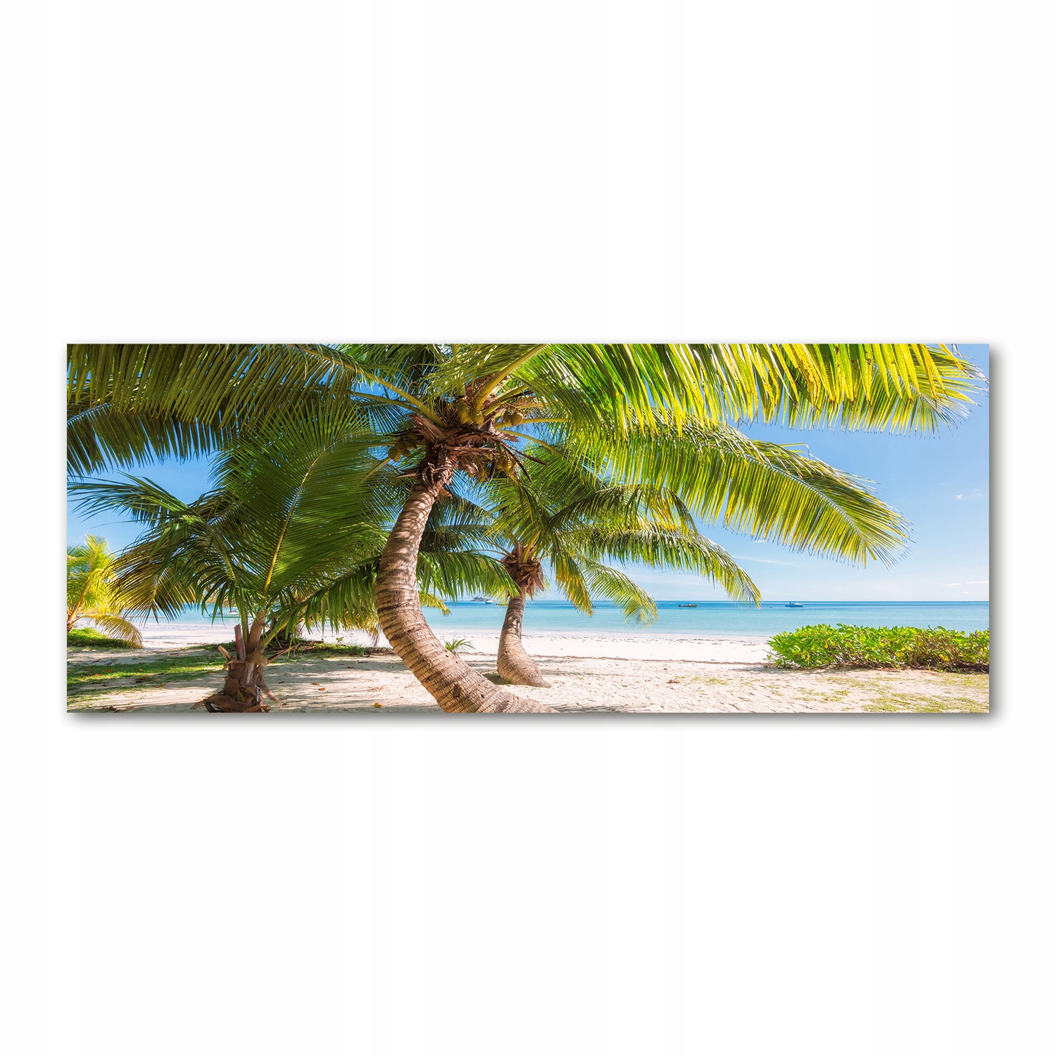

Foto obraz szkło akryl Tropikalna plaża 125x50 cm