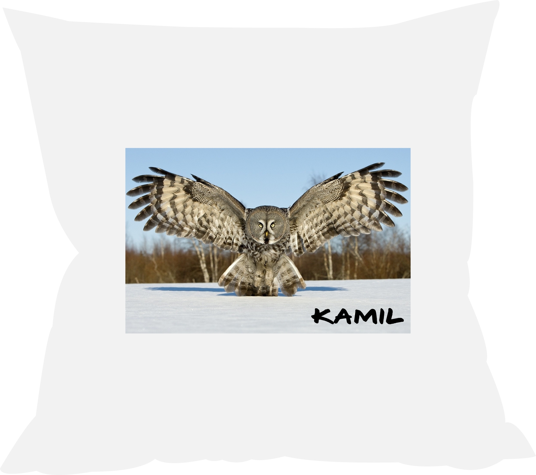 

Poduszka Sowa, Sowy z imieniem Duży Wybór