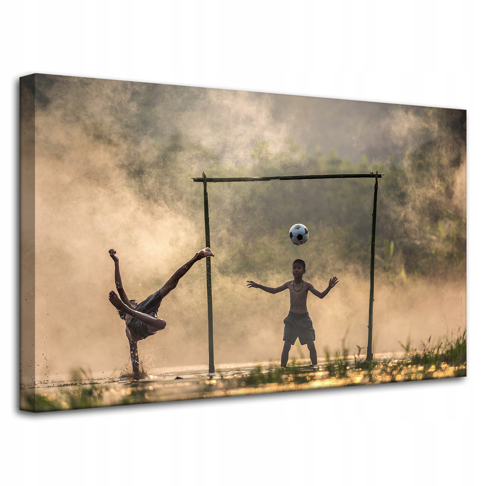 Obraz Canvas Pro Mládež Míčová hra 80x50 cm