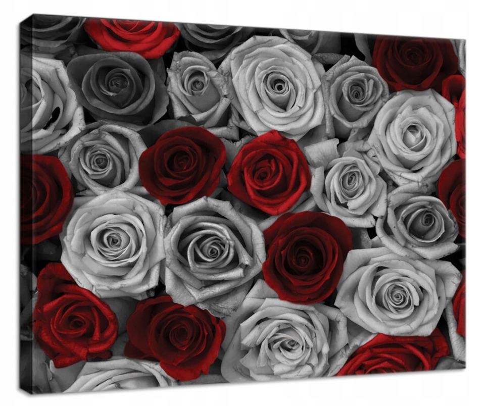 Obraz 80x60 Červené růže šedé růže monochromatické selektivní barva
