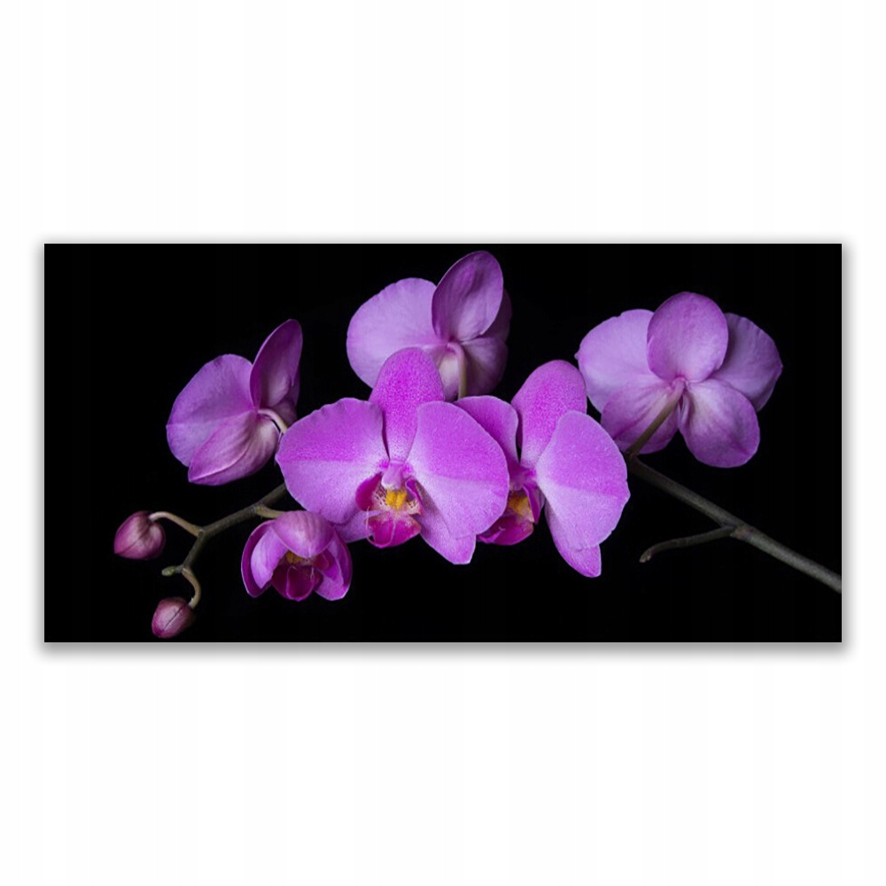 

Fotoobraz wiszący 120x60 Storczyk Orchidea Kwiaty