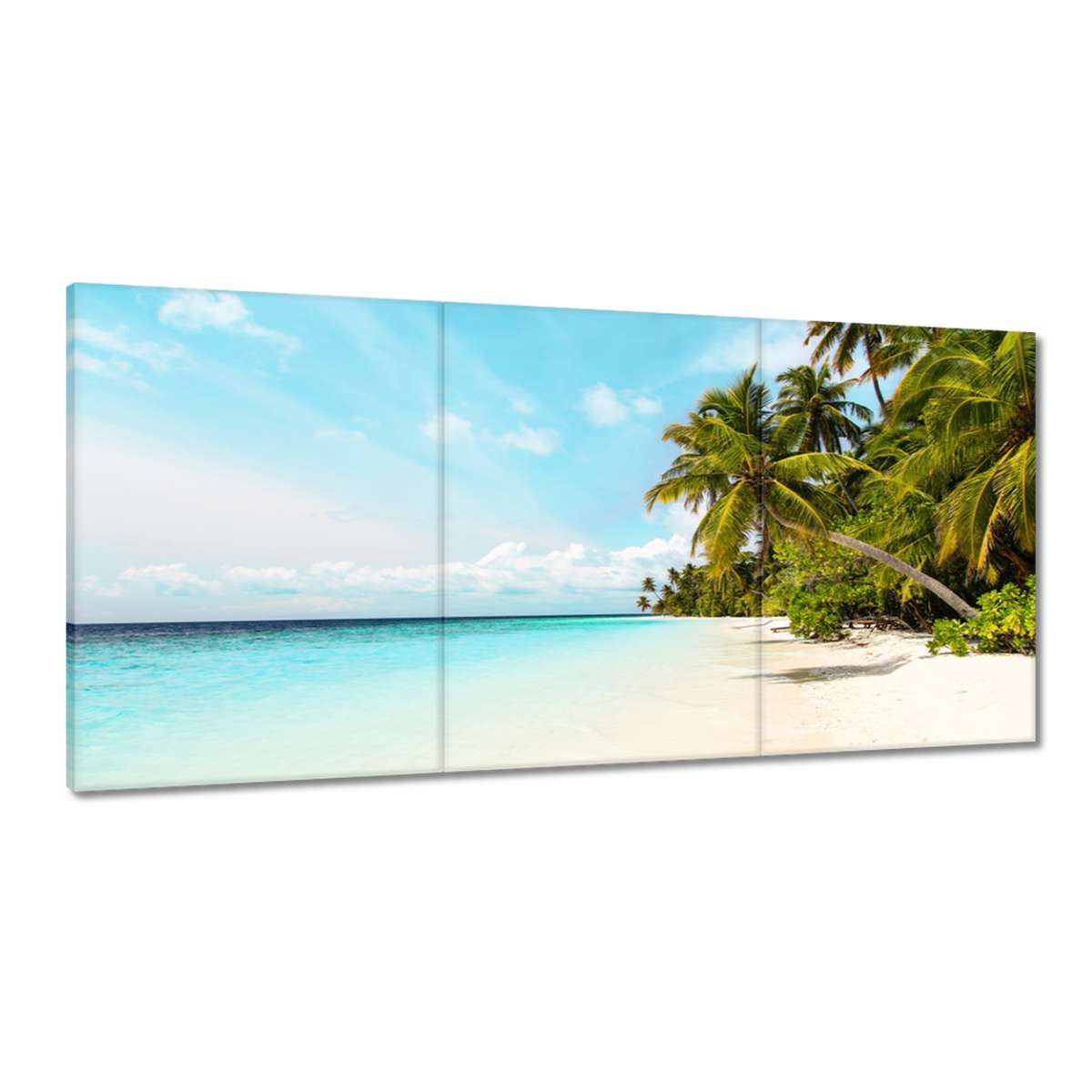 Obrazy 180x90 Tropické krajiny Palmy