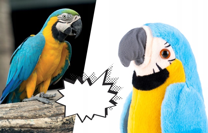 GADAJĄCA PAPUGA INTERAKTYWNA PRZEDRZEŹNIACZ TAŃCZY Rodzaj pluszaki interaktywne