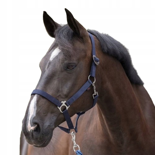 KANTAR DLA KONIA ogłowie regulowane COVALLIERO Hippo granatowy roz. Pony