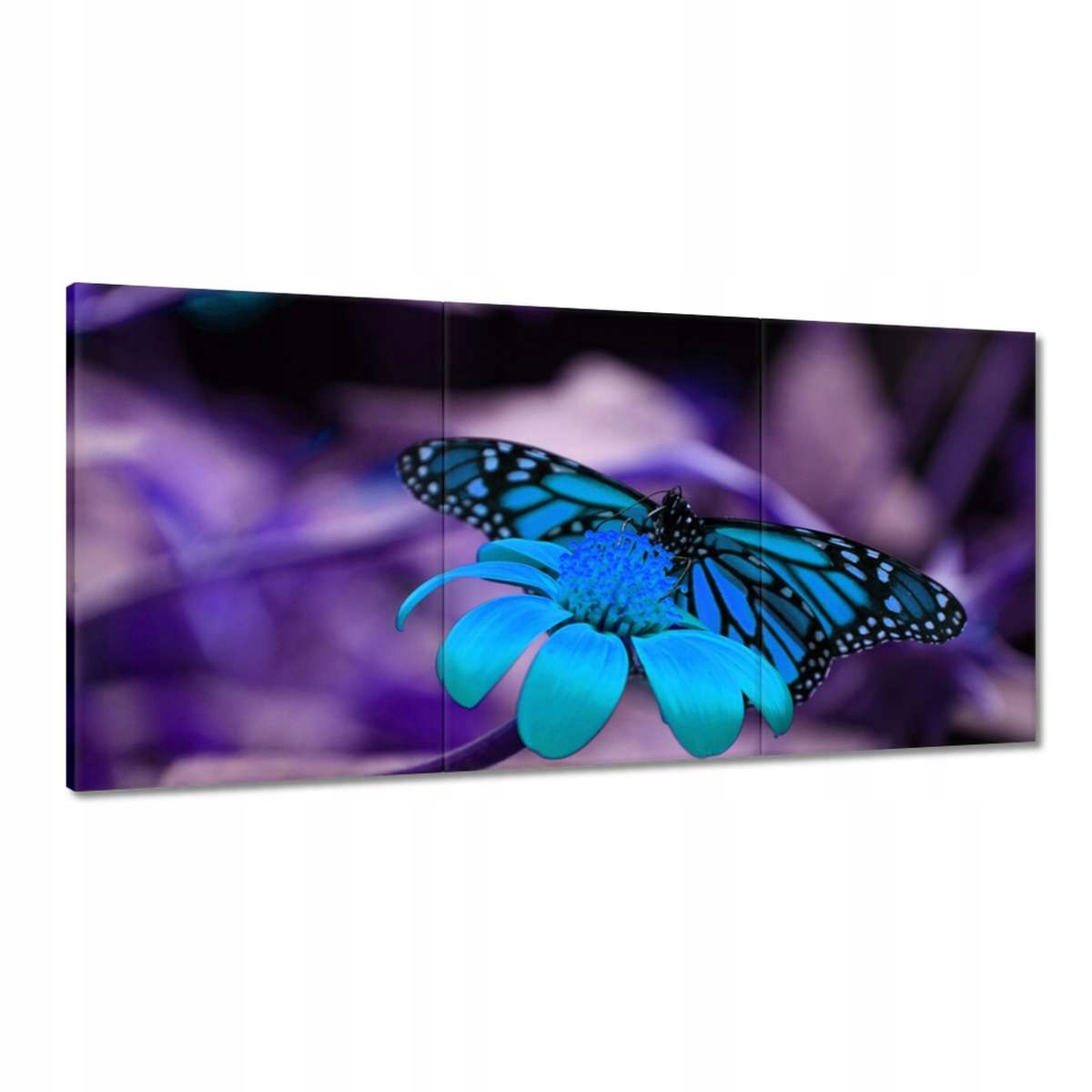 Obrazy 180x90 Modrý motýlik