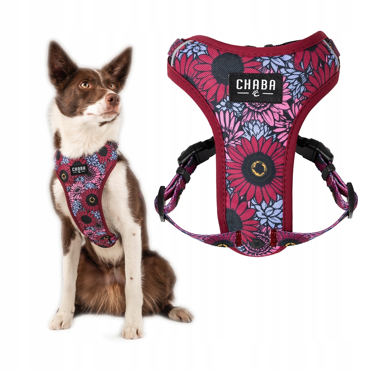 Levně Beztlakové vycházkové postroje Guard Comfort pro psa – Chaba Lakota, velikost M