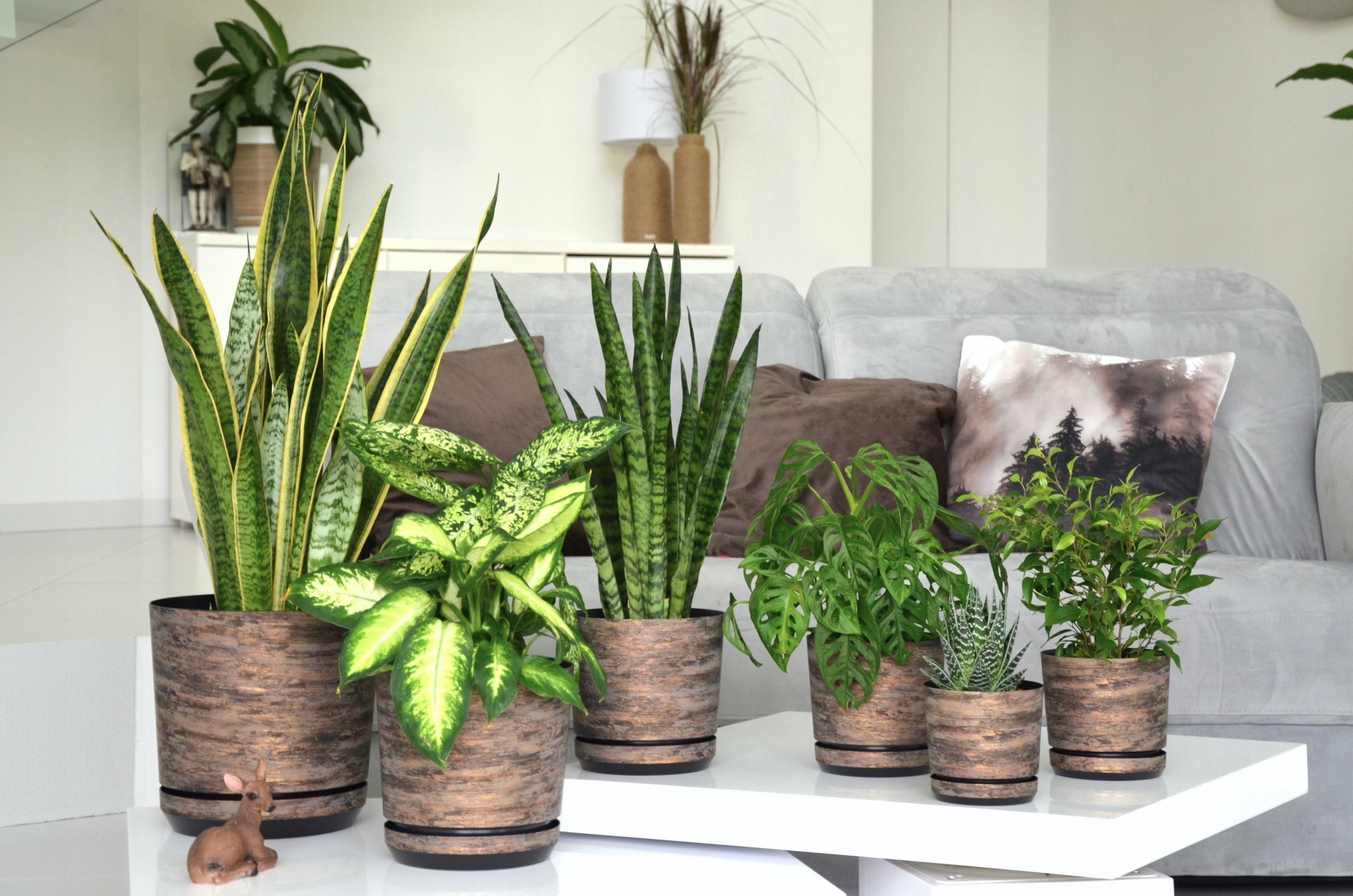 14 RDZAWA KORA Doniczki podstawka imitacja drewna Kształt Okrągły