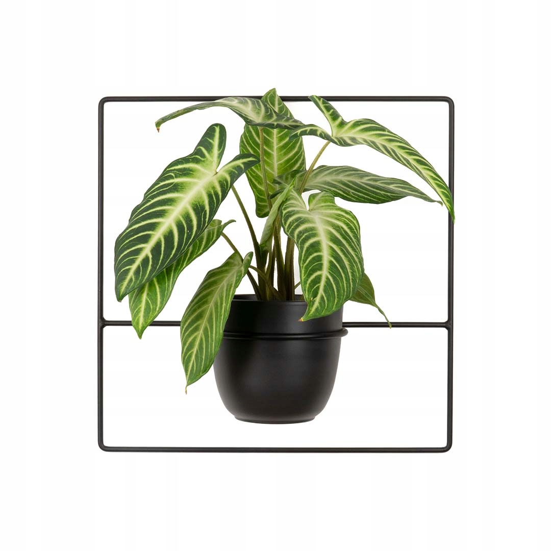 Držák Na Květináč Pilea+ nástěnný závěsný loftový loft k zavěšení kovový, černý