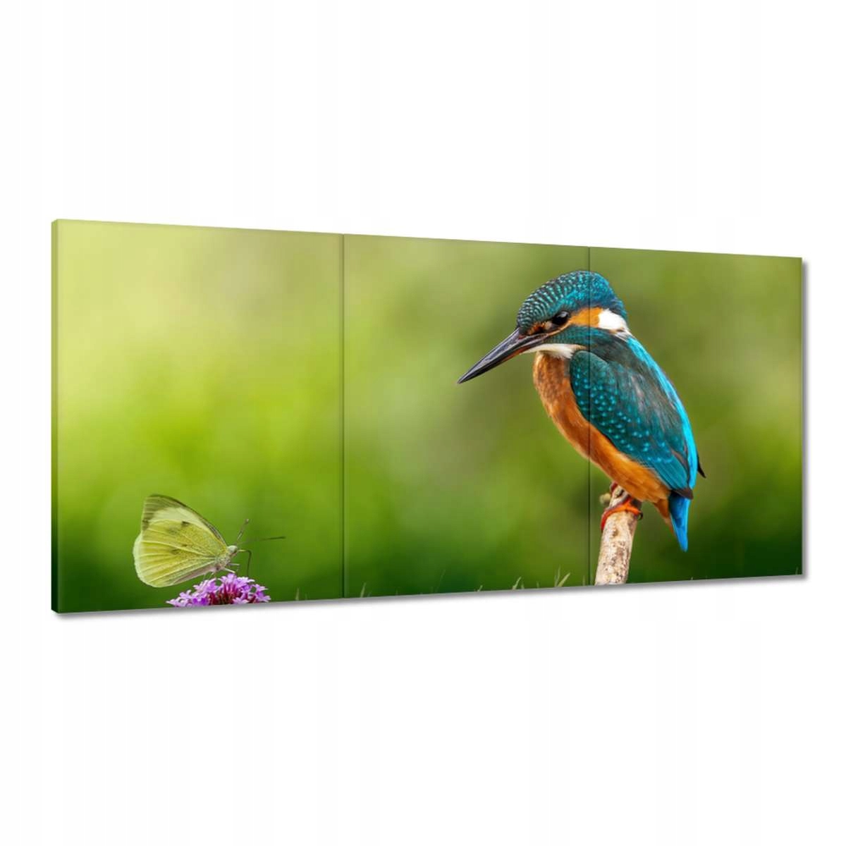 Obrazy 180x90 Čo tu chrumkať