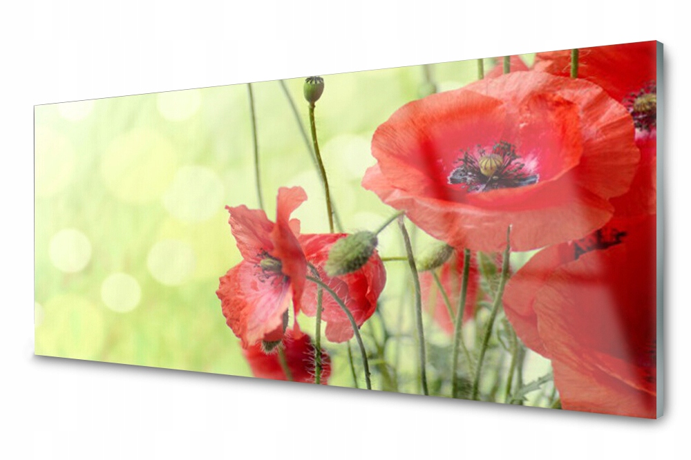 

Panel szklany do kuchni Maki Kwiaty 125x50