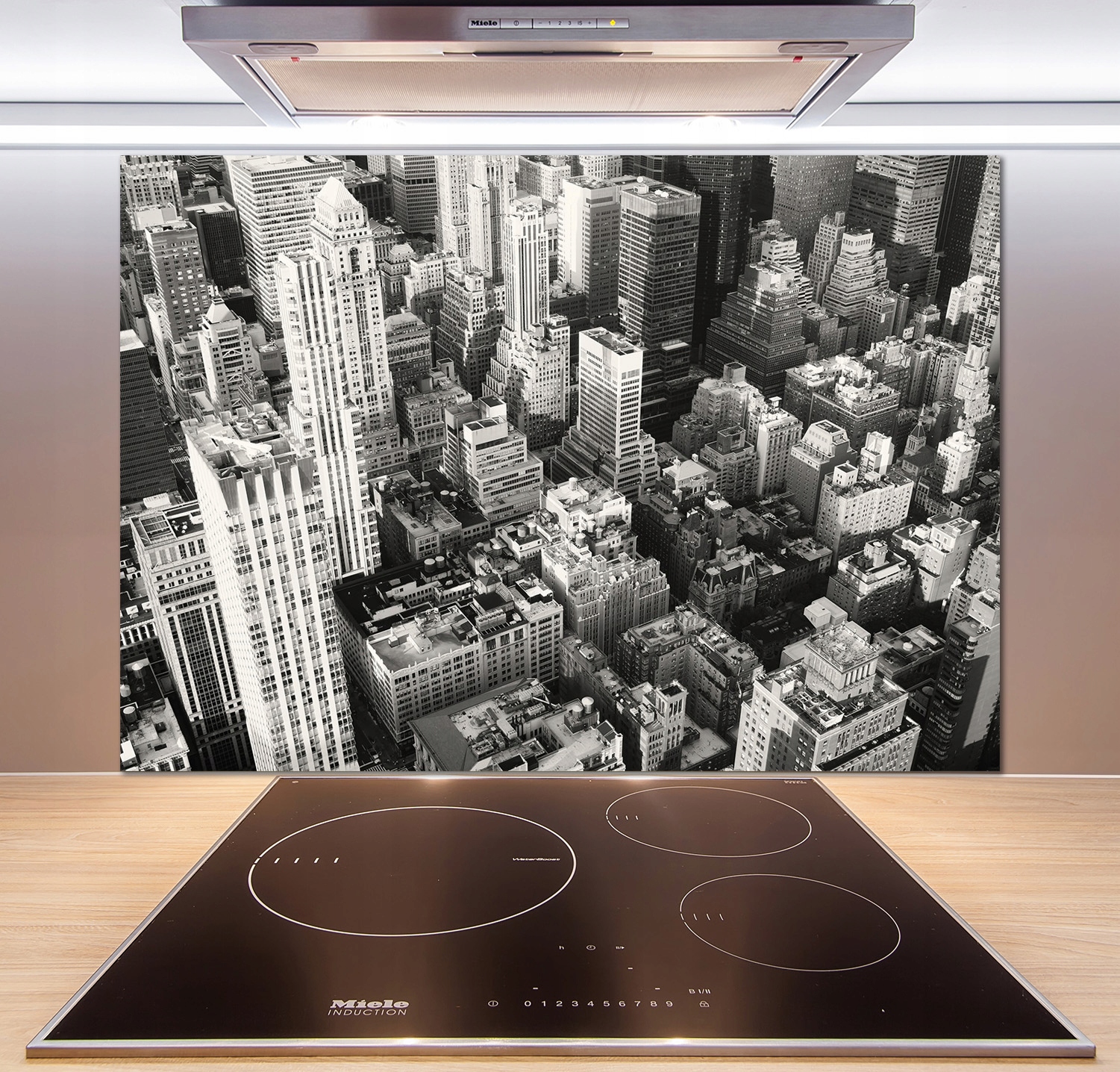 

Panel lacobel Nowy Jork lot ptaka 100x70 cm + Klej
