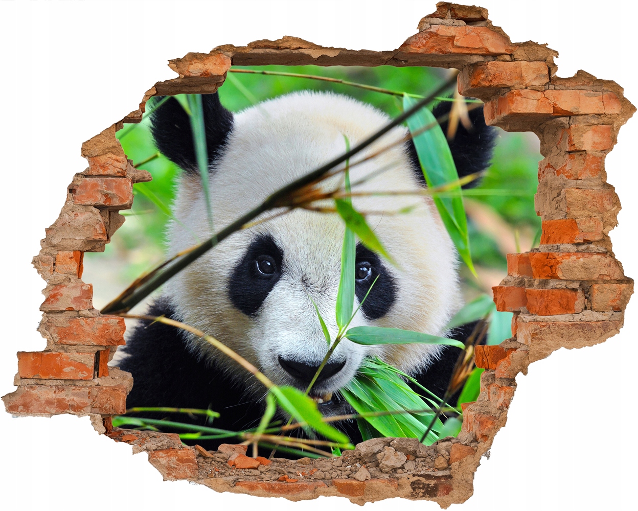 

Naklejka 3D Panda Wielka Dziura W Ścianie