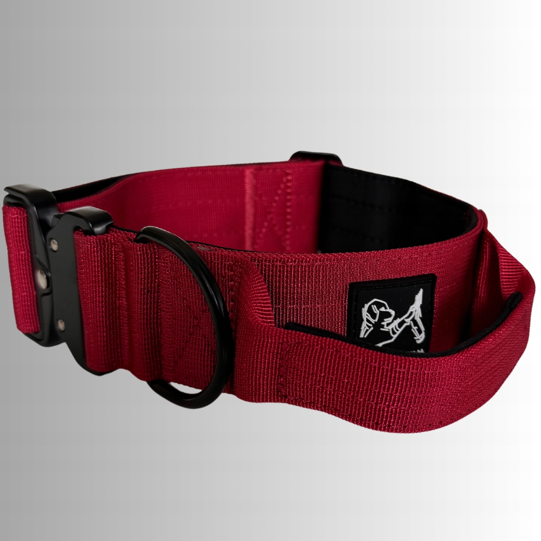 Levně Obojek Extreme Strong DogsLovers široká 5cm kovová přezka Extreme