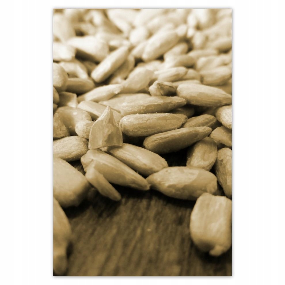 

Plakat 62x93 Słonecznik łuskany