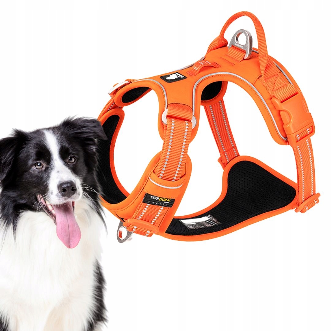 Szelki guard easy walk dla psa border collie Truelove Front Line Cordura L