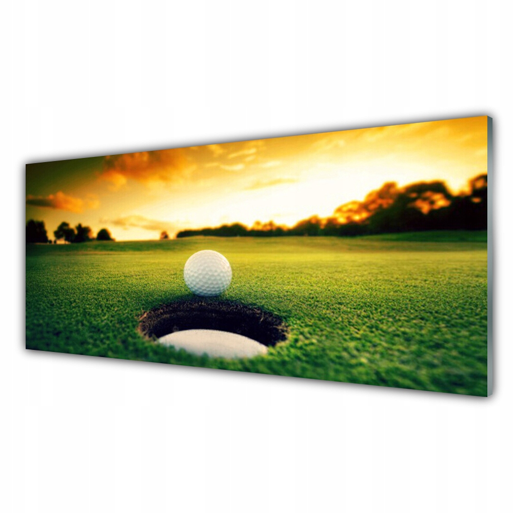 

Obraz nowoczesny 125x50 Połka Golfowa Trawa Natura