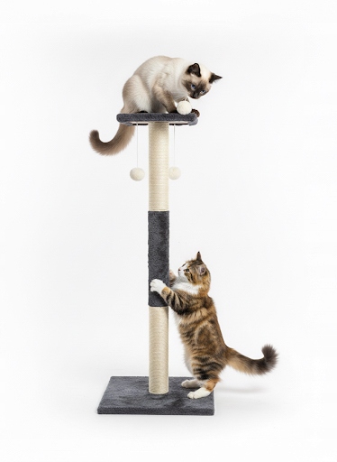 Premium Drapak Dla Kota Wieża Legowisko zabawki Sizal