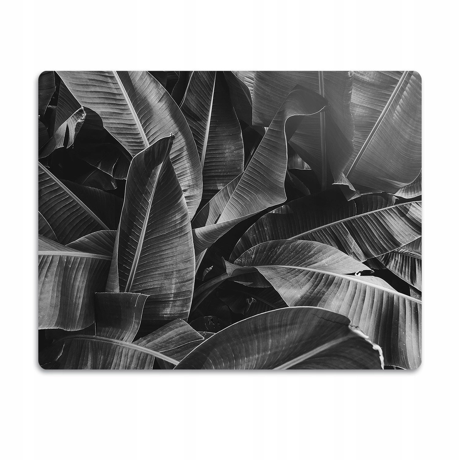 Levně Elastická podložka pod misku Velké listy sépie 60x40