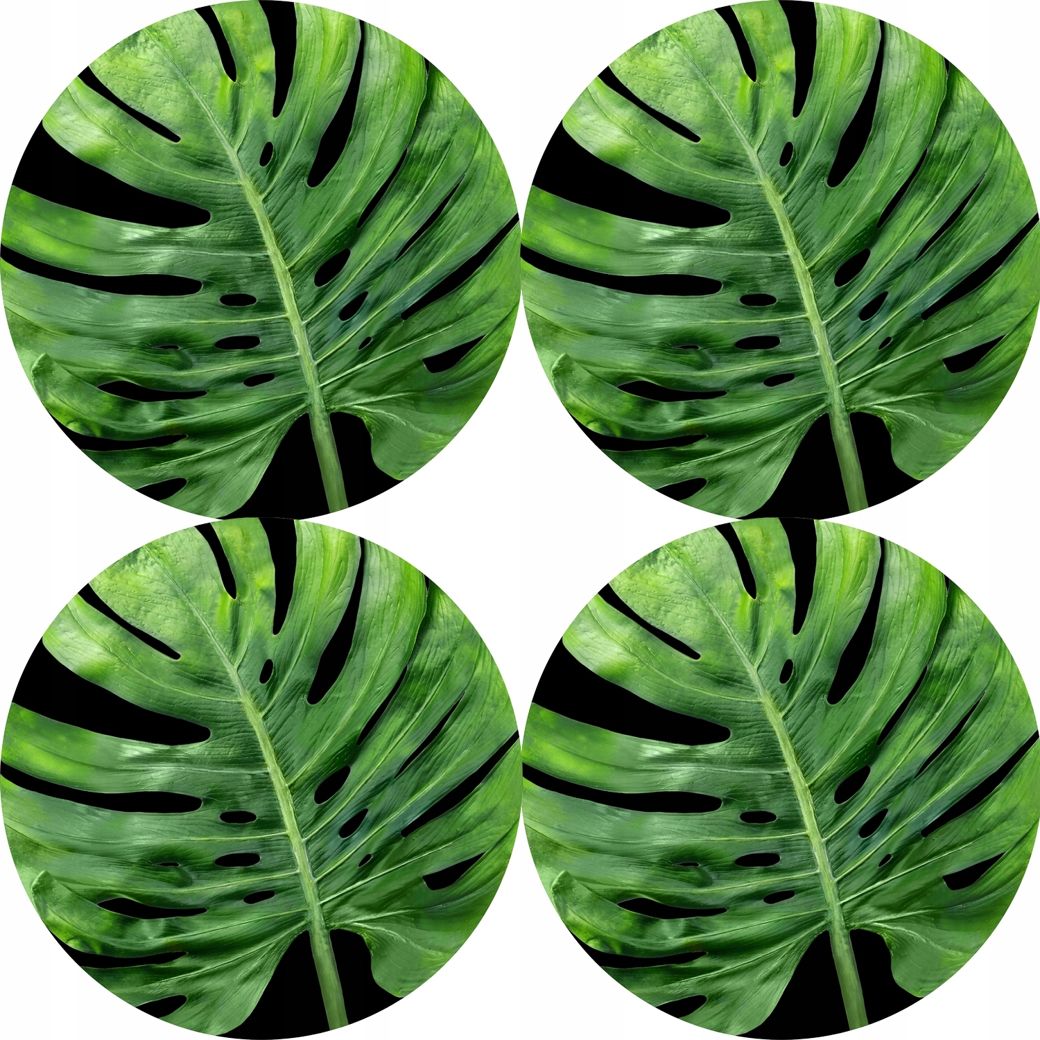 

Zestaw podkładek na stół 4D Galapagos Night