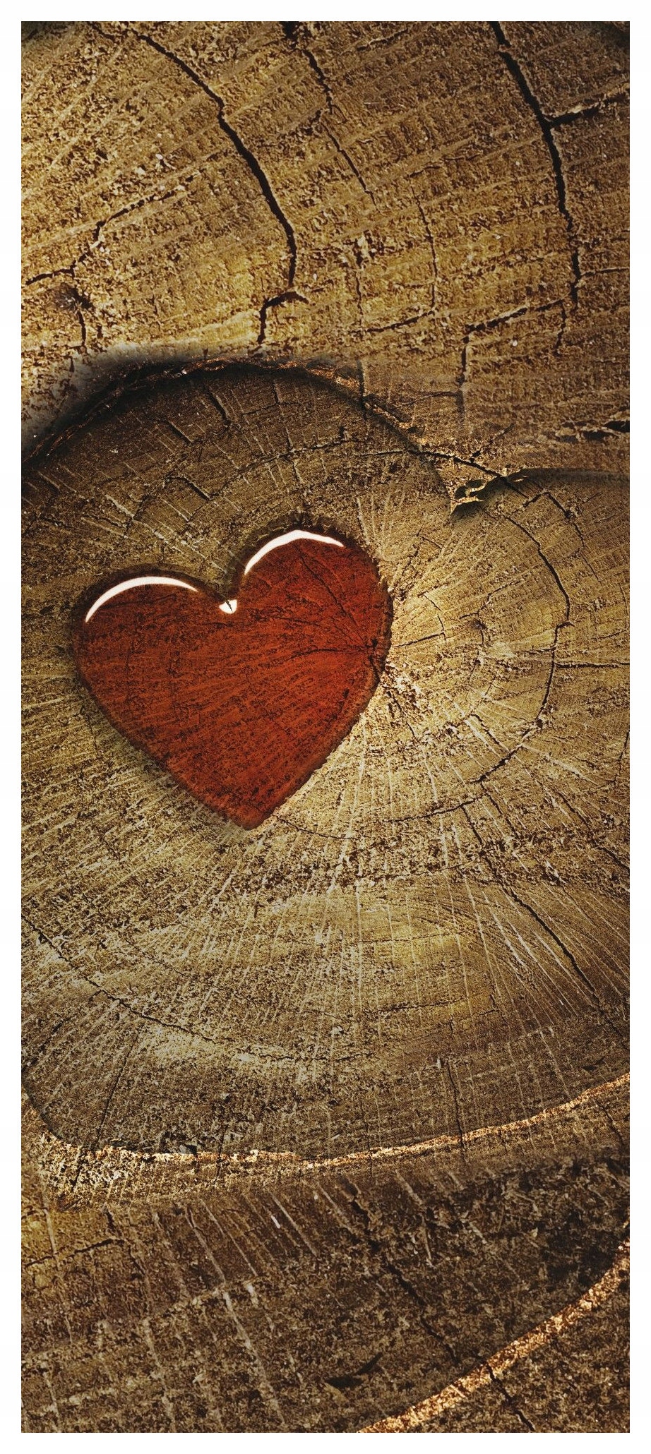 Samolepka Fototapeta Srdce Stromy Voda Textura Dřevo eko 91x211