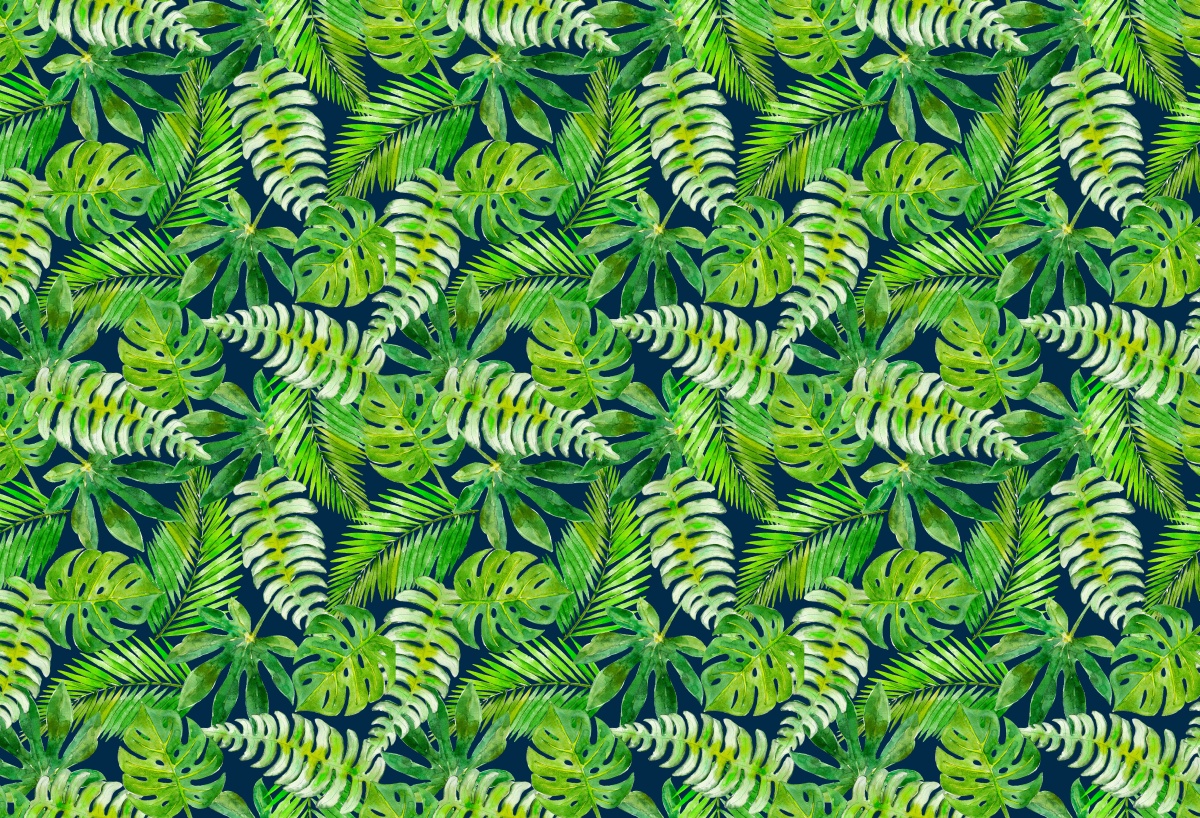 

Tapeta Flizelinowa Tropikalne liście - 104x70