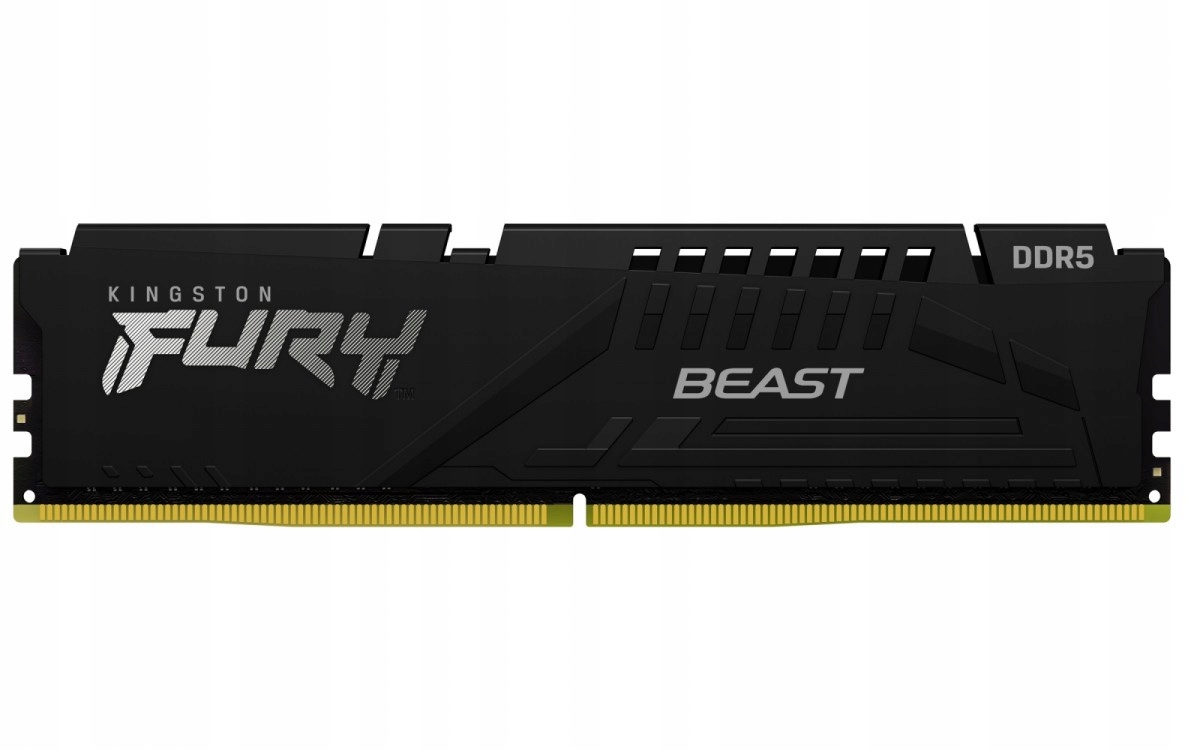Kingston Paměť DDR5 Fury Beast 16GB (1*16GB)/6000 CL30 Expo černá