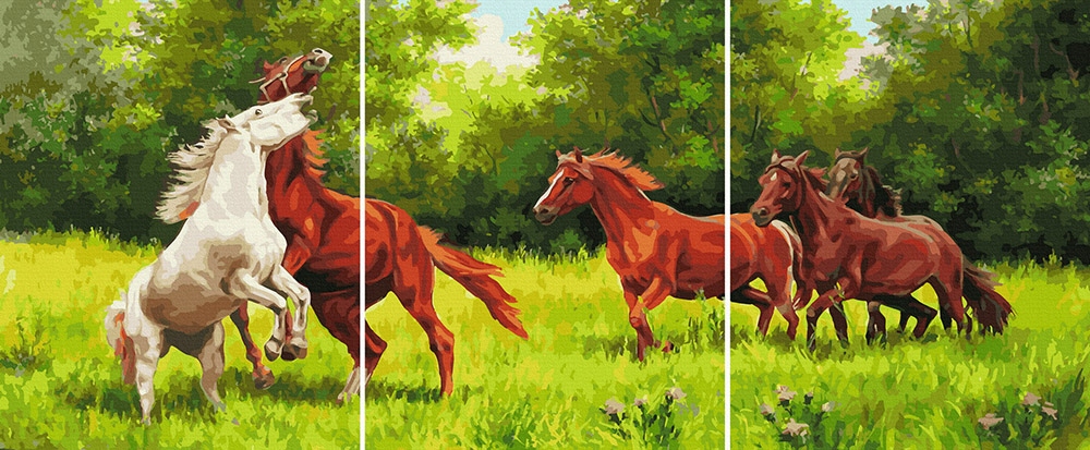 Obraz pro malování podle čísel iPicasso na rámu Triptych