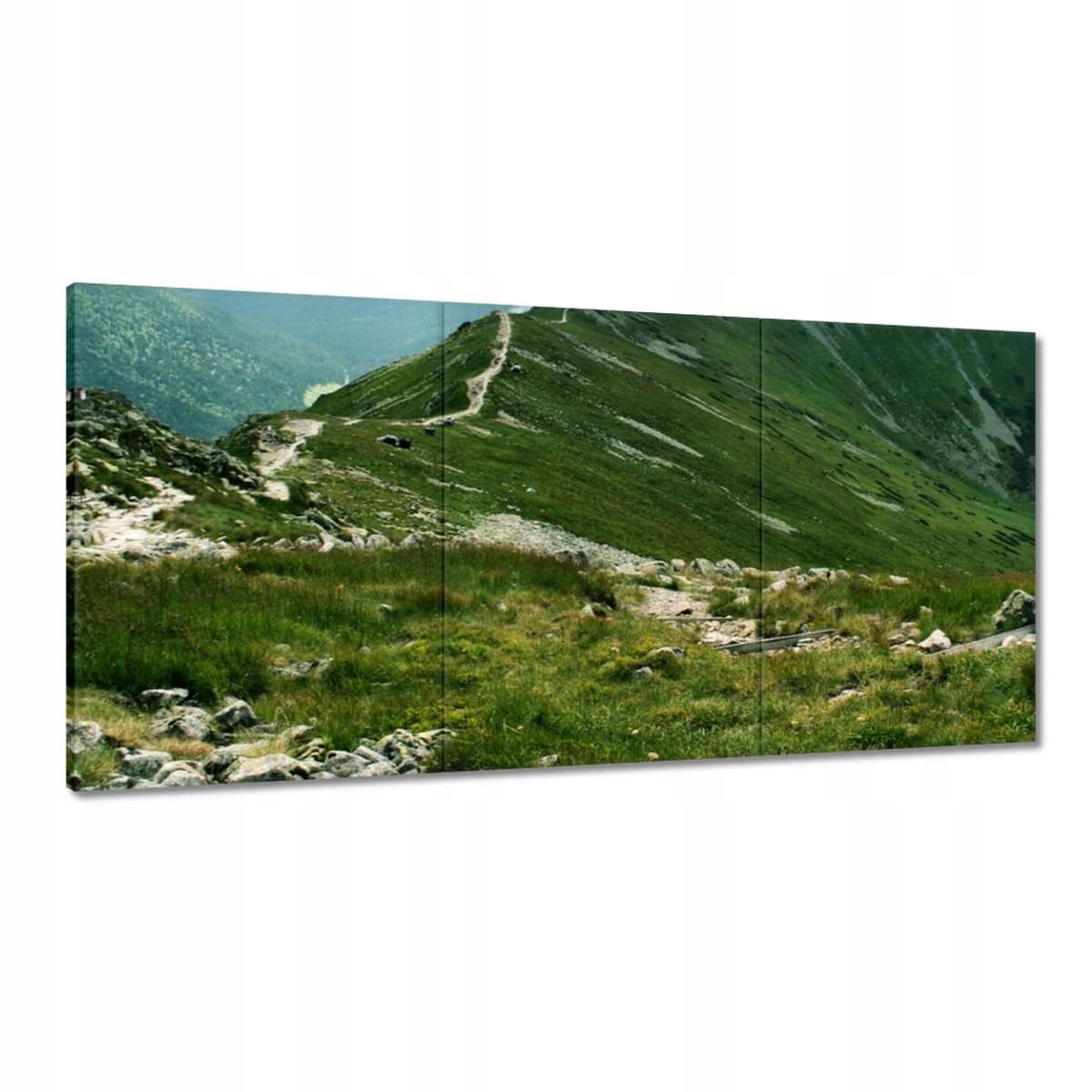 Obrazy 180x90 Tatry Poľské hory Pohľad