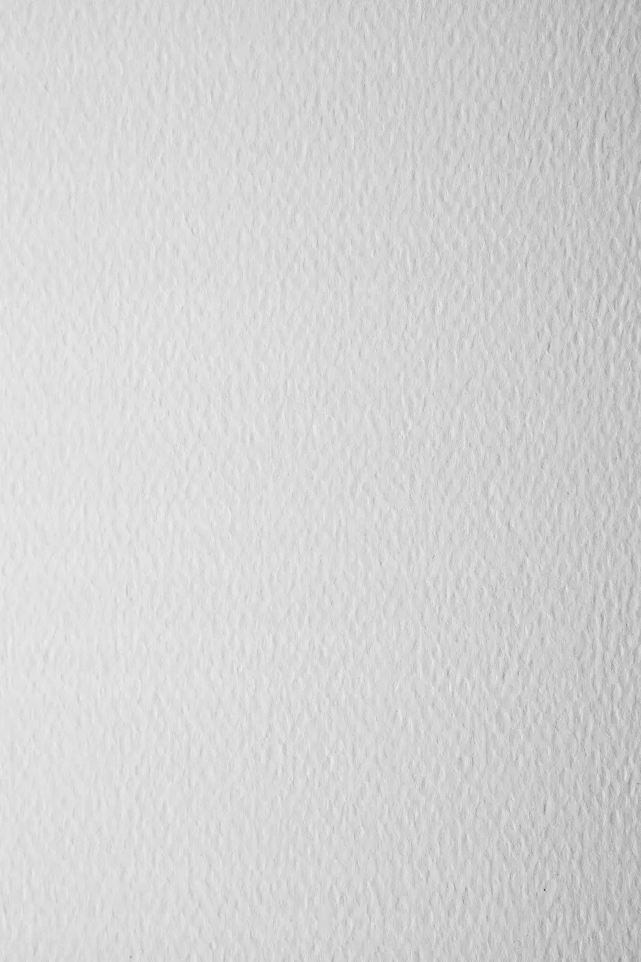 

Papier Prisma 220g Bianco biały 10A4