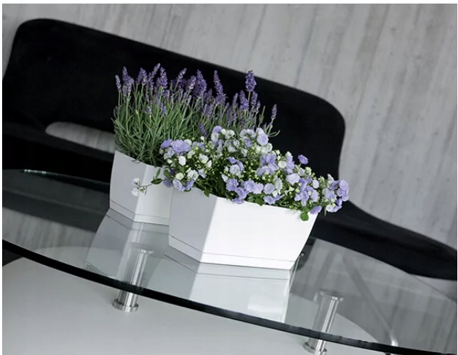 Doniczka na zioła COUBI grafit DUPP400-426U Kod producenta DUPP400-426U