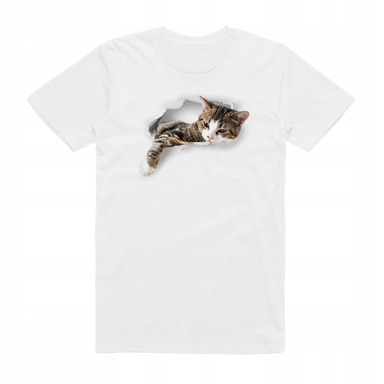 

XXL - Koszulka T-shirt Kot Kociak Z Kotem Koci Cat