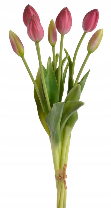

Tulipany gumowe Kwiaty wiosenne bukiet 40cm 7szt.