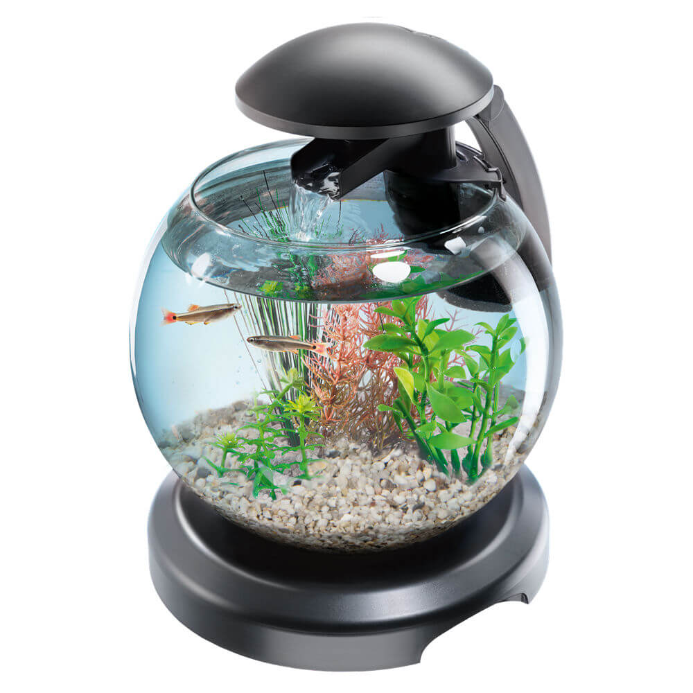 

Tetra Cascade Globe Black Led Kula 6,8L