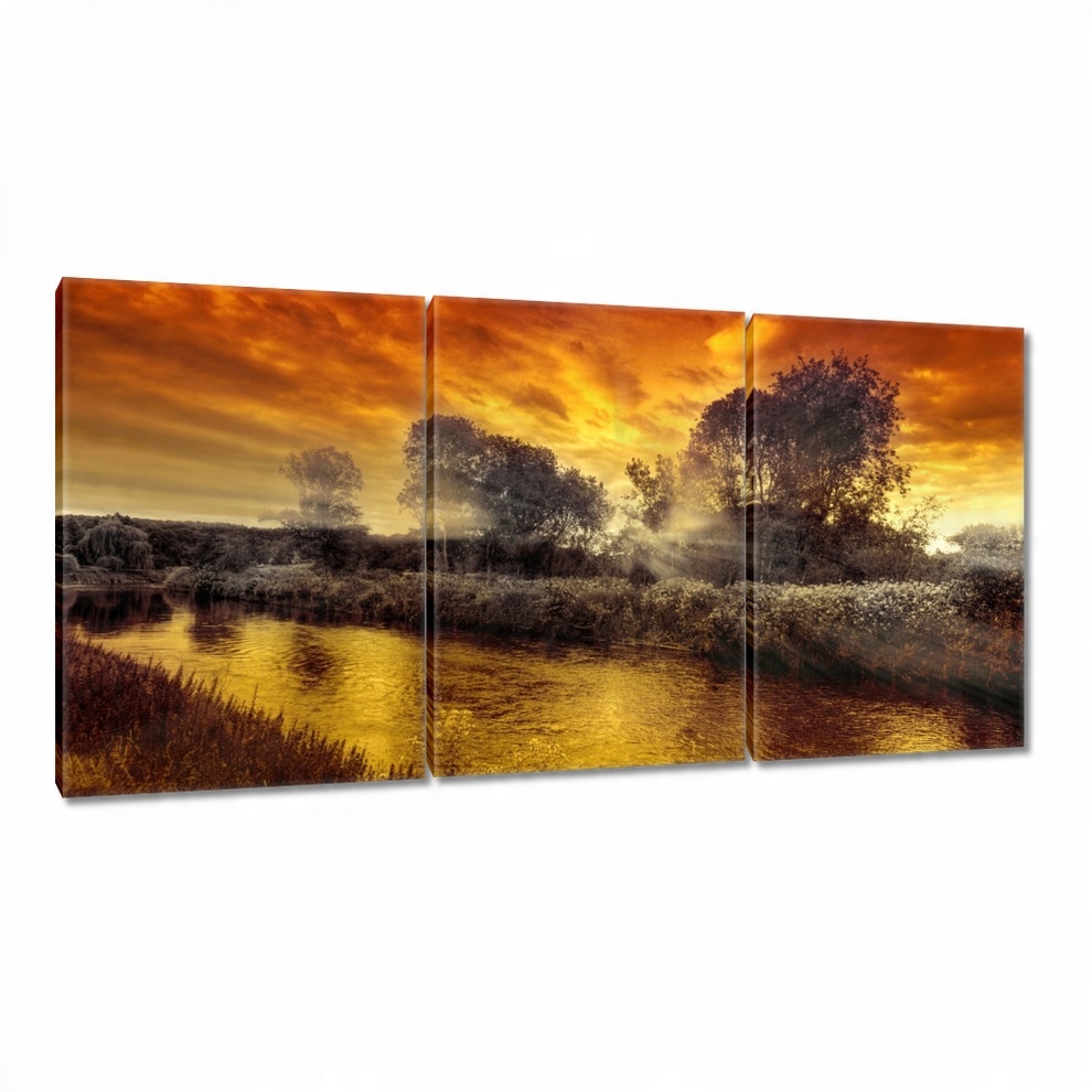 

Obrazy 120x60 Miodowy pejzaż