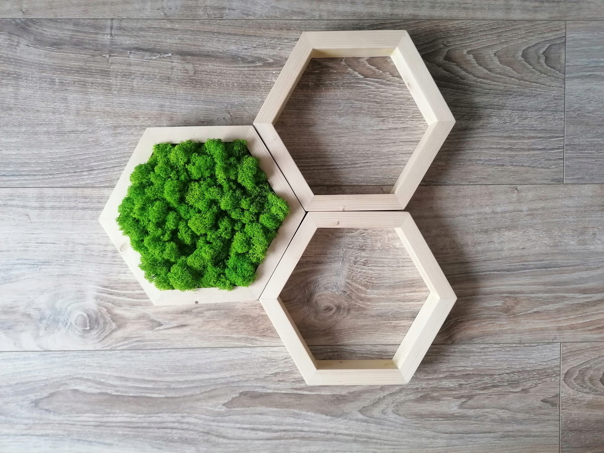 Obraz z mchem chrobotkiem, zestaw heksagon Rodzaj mech chrobotek