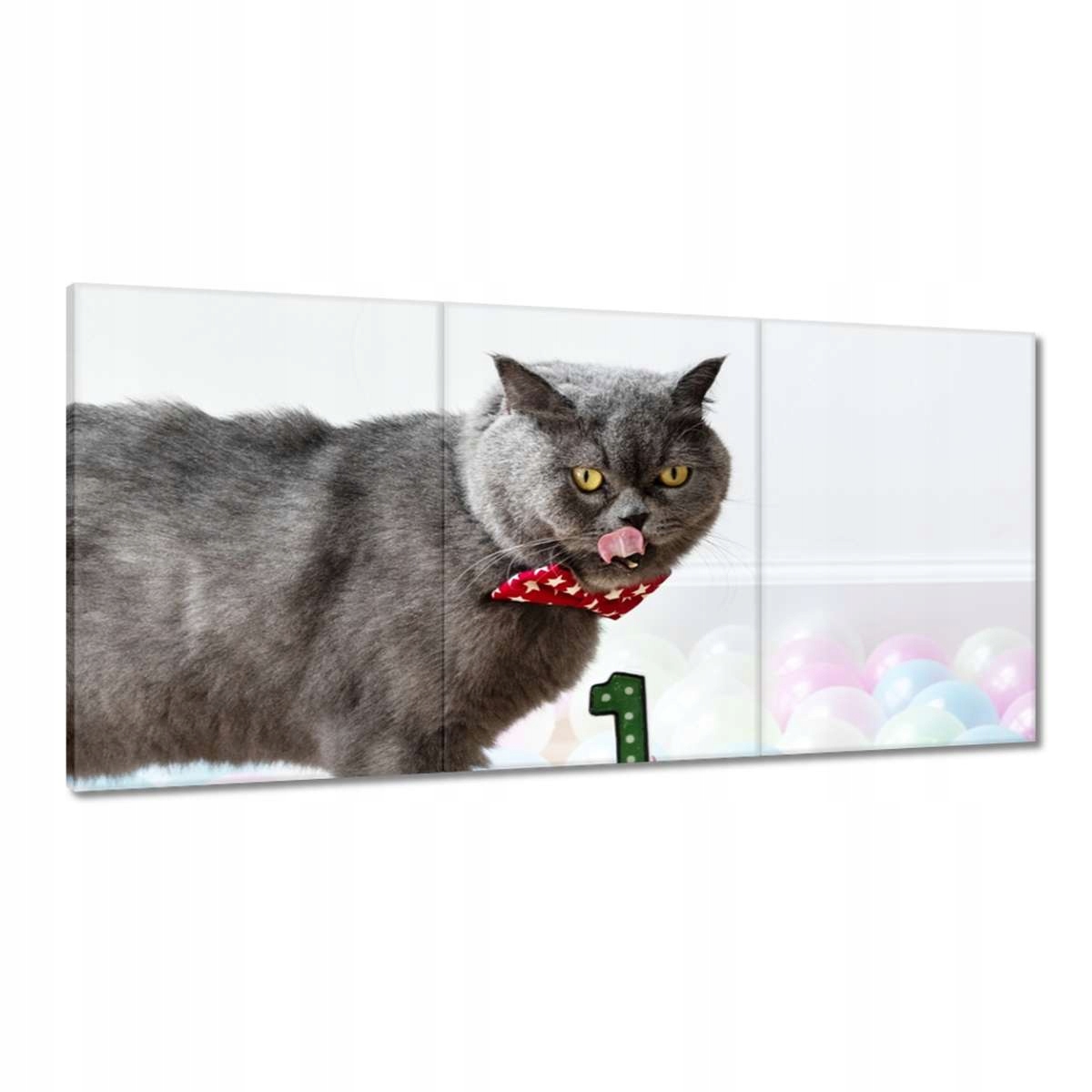 Obrazy 180x90 Mačka Mačiatka Kicia