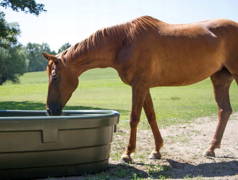 POIDŁO PASTWISKOWE WANNOWE Z PŁYWAKIEM KERBL 1000L Marka Kerbl