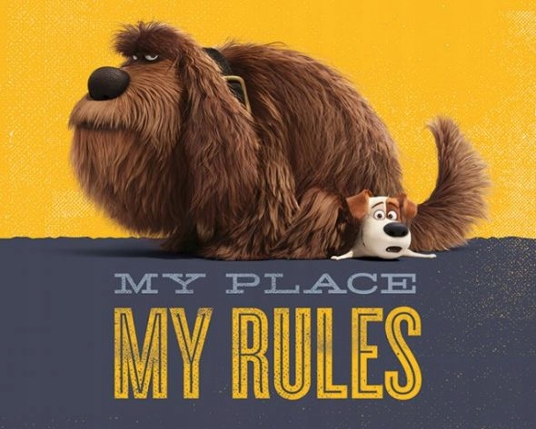 

Sekretne życie zwierzaków - plakat 40x50 cm